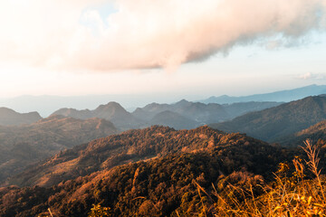 青岛新型冠状病毒/青岛新型冠状病毒肺炎疫情